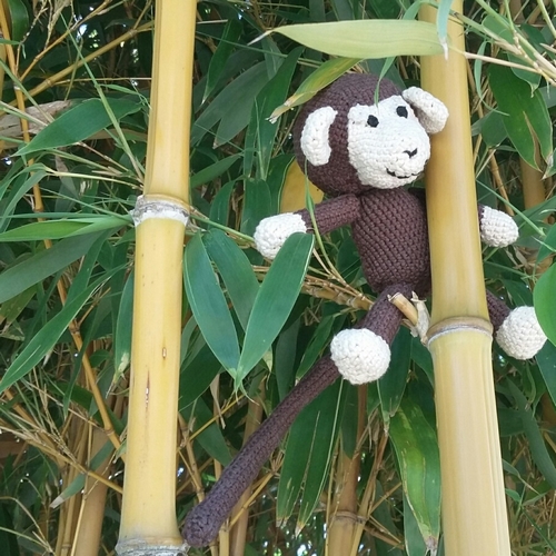 Singe.jpg